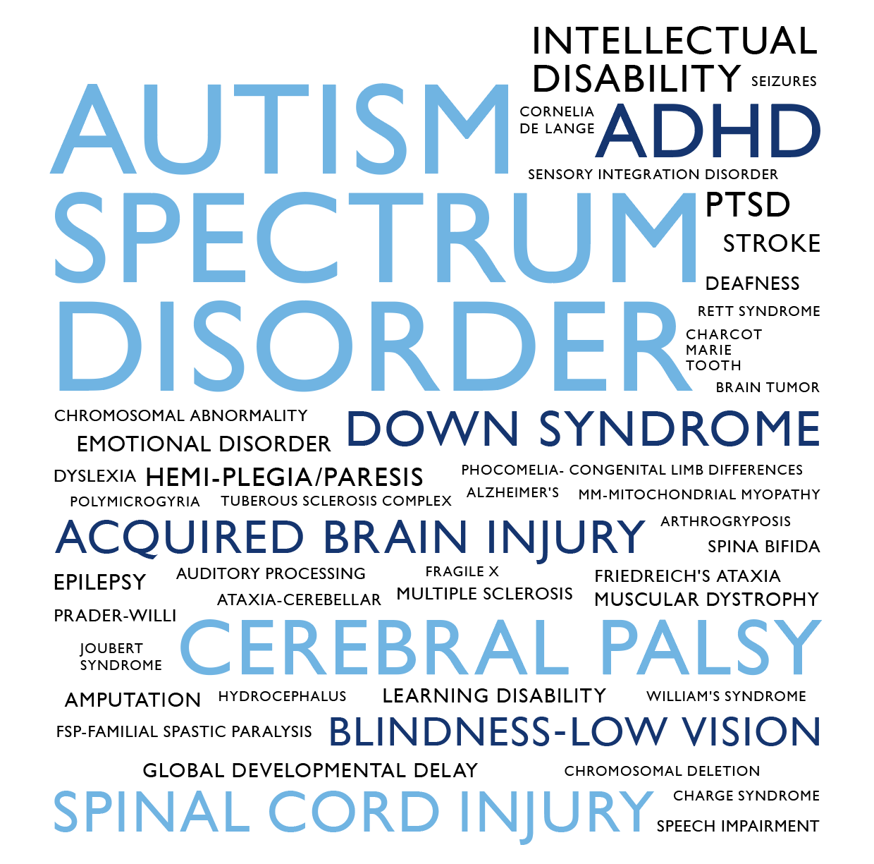 Autism Spectrum Disorder, Intellectual Disability, Seizures, Cornelia de Lange, ADHD, Sensory Integration Disorder, PTSD, Stroke, Deafness, Rett Syndrome, Charcot Marie Tooth, Brain Tumor, Chromosomal Abnormality, Emotional Disorder, Down Syndrome, Dyslexia, Hemi-Plegia/Paresis, Polymicrogyria, Tuberous Sclerosis Complex, Phocomelia-Congenital Limb Differences, Alzheimer’s, MM-Mitochondrial Myopathy, Acquired Brain Injury, Arthrogryposis, Spina Bifida, Epilepsy, Auditory Processing, Fragile X, Friedreich’s Ataxia, Prader-Willi, Ataxia-Cerebellar, Multiple Schlerosis, Muscular Dystrophy, Joubert Syndrome, Cerebral Palsy, Amputation, Hydrocephalus, Learning Disability, William’s Syndrome, FSP-Familial Spastic Paralysis, Blindness-Low Vision, Global Developmental Delay, Chromosomal Deletion, Charge Syndrome, Spinal Chord Injury, Speech Impairment