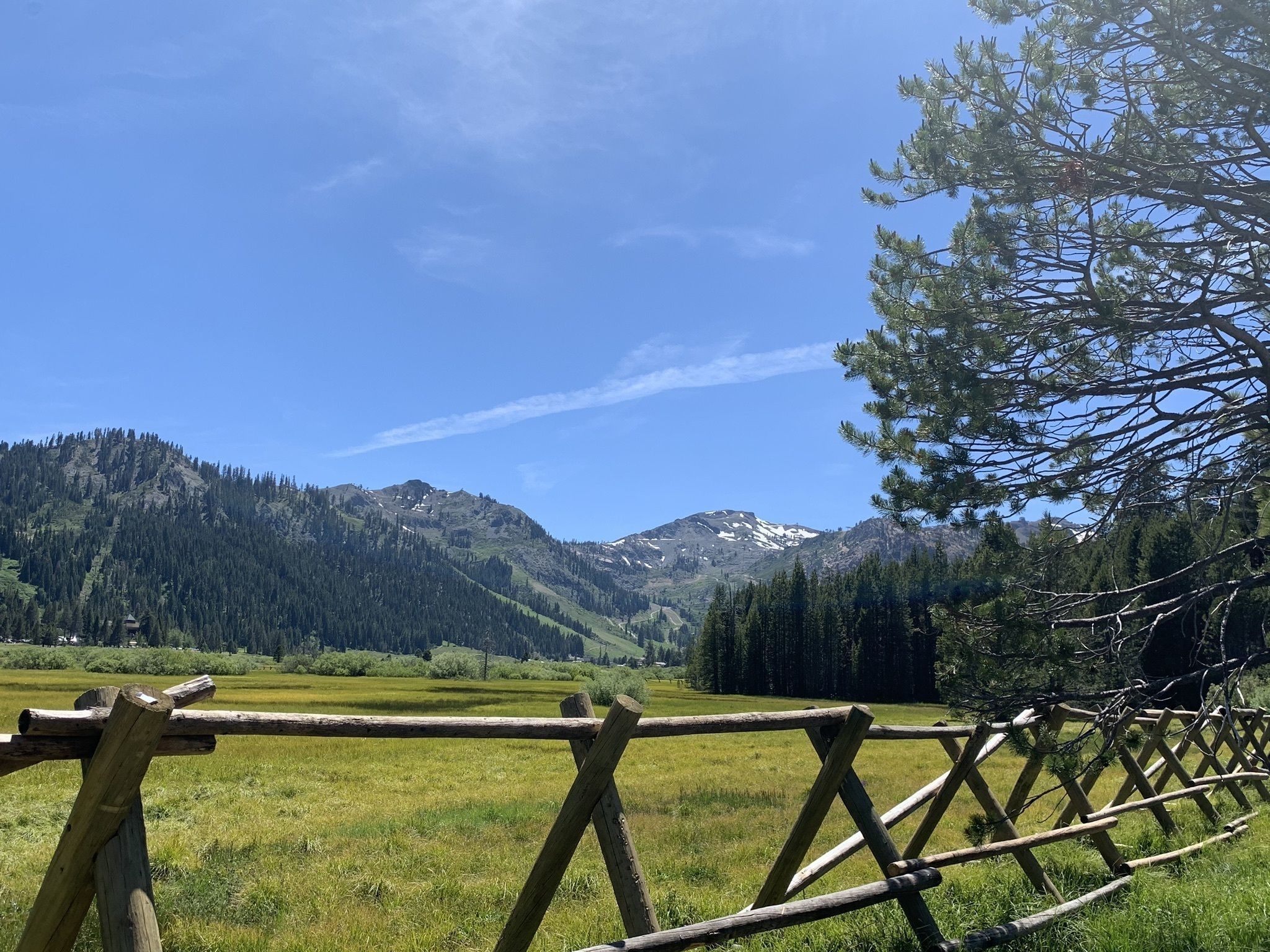 The Squaw Valley Trail