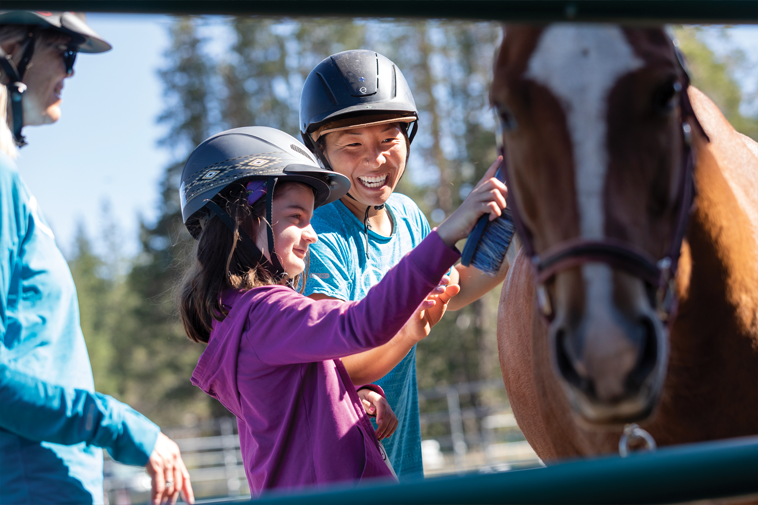 Homepage Banner_Horsemanship image