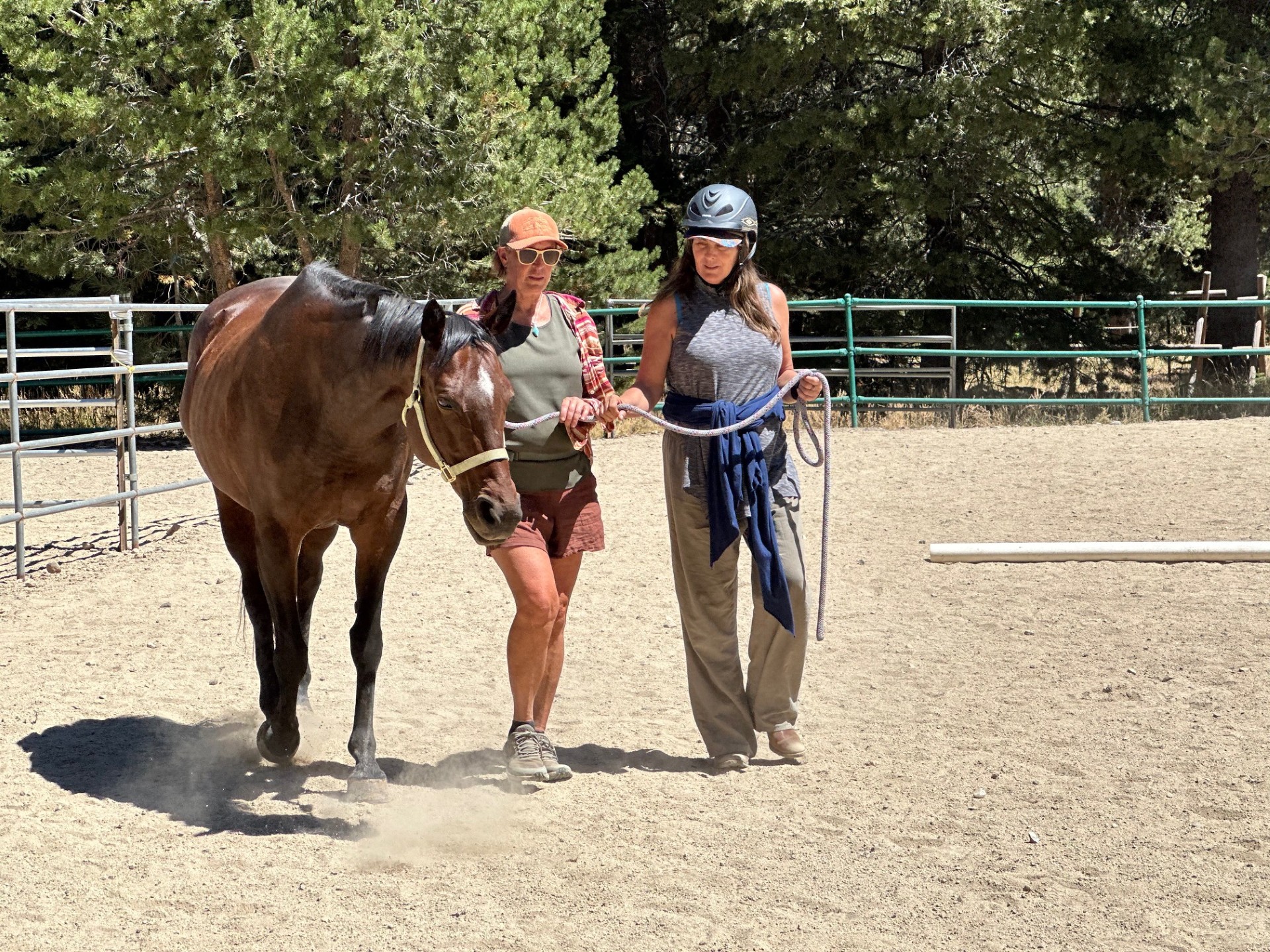 A First for Tahoe: Strides Through Resilience, an Equine Program for Cancer Survivors